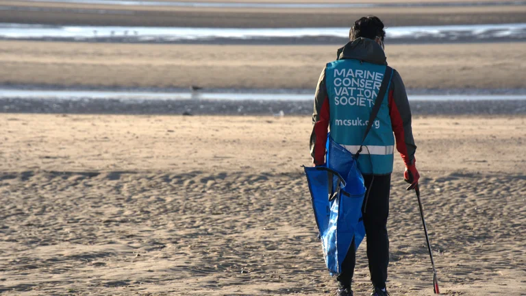 Cleaning the beach