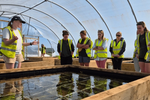 Seagrass Nursery