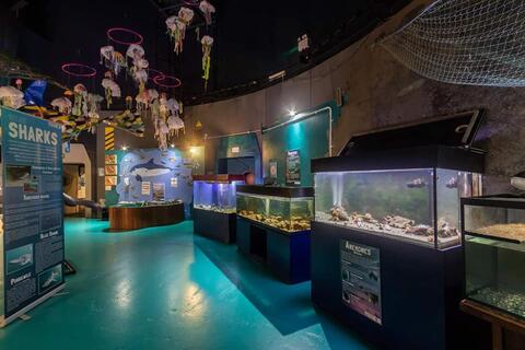 Sea Trust Aquarium 